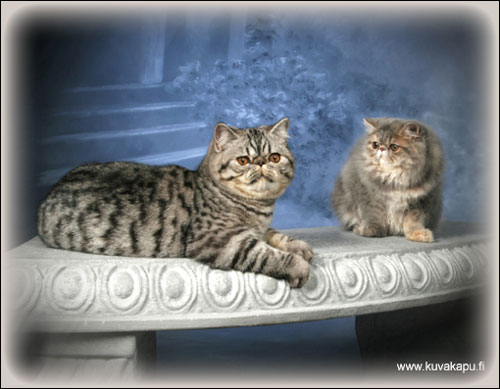 Min� ja minun tytt�yst�v�ni Alma ... pusuja!