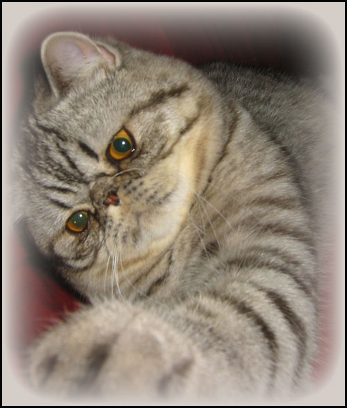 Hyv�! Nyt voi keskitty� leikkim��n :)
