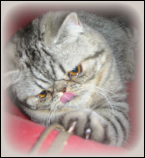 Anna Mamma se kamera t�nne!